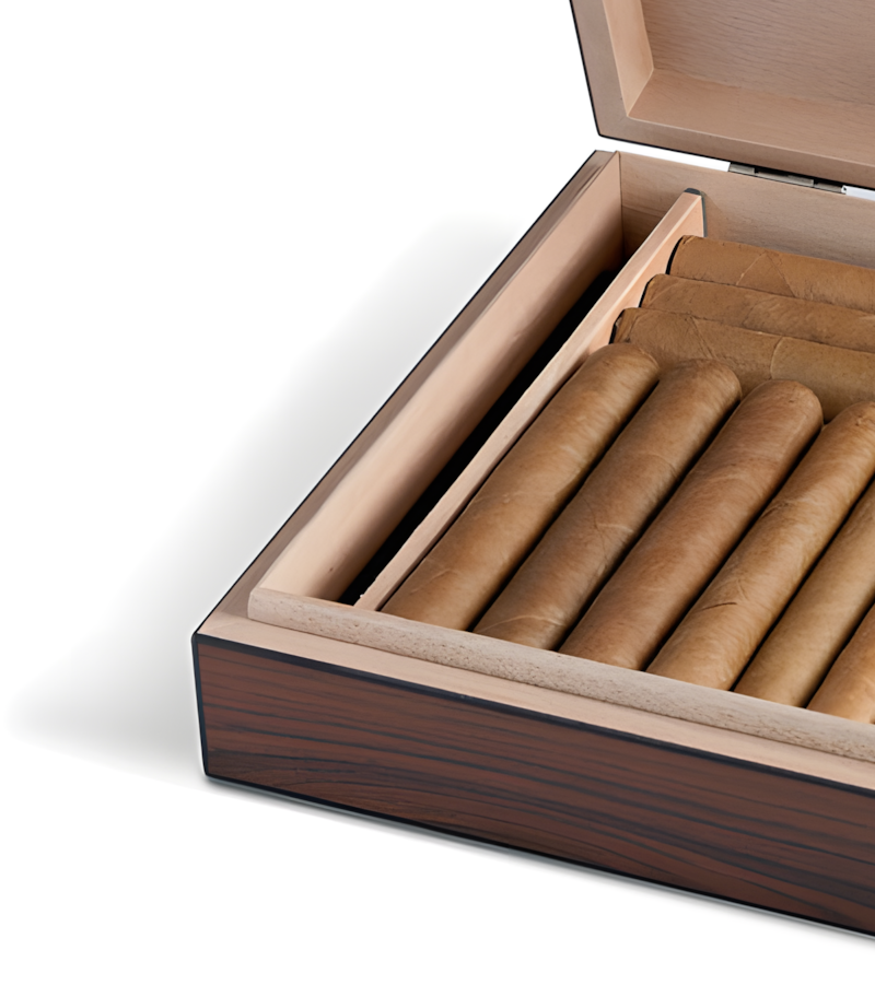 Humidor EGOIST brown 20pcs